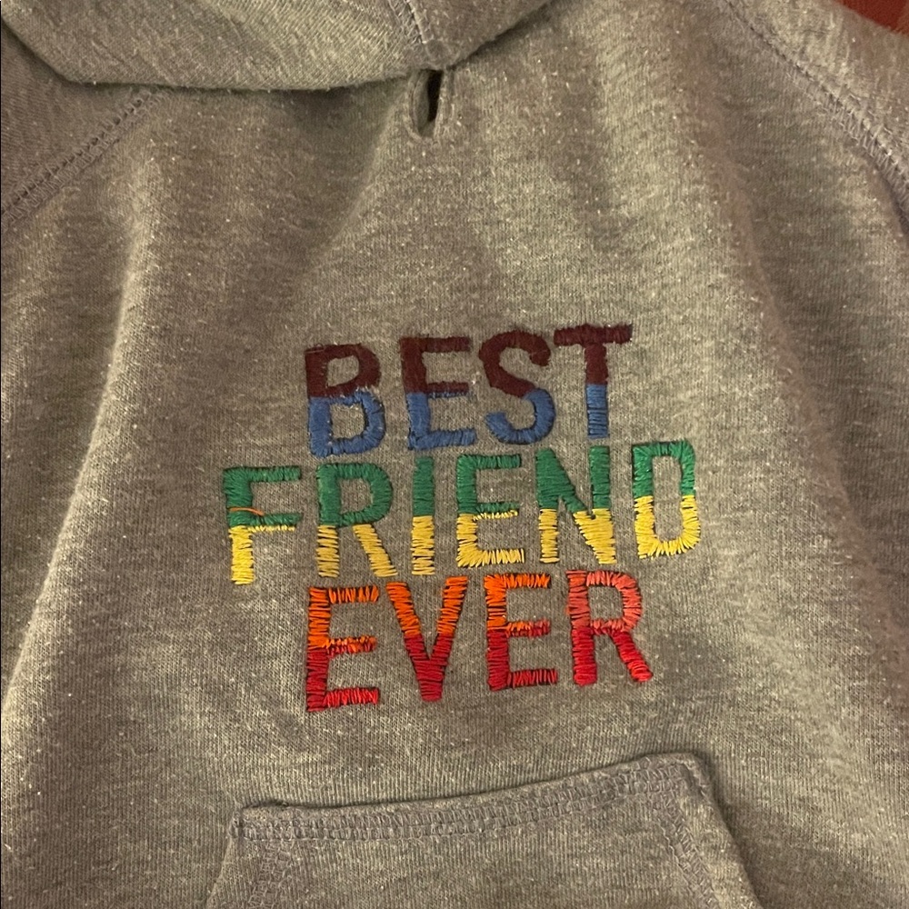 Pet Hoodie with Colorful 'Best Friend Ever' Embroidery